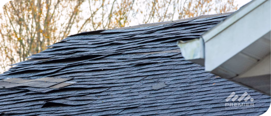 Frame 348fg_converted